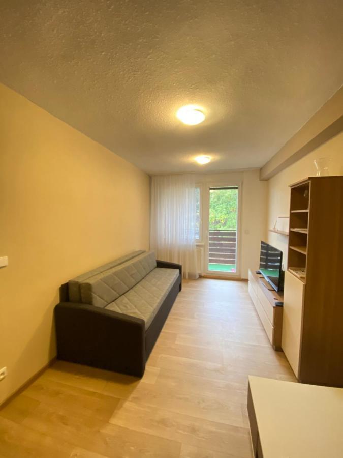 Apartman Na Kraji Lesa Všemina المظهر الخارجي الصورة