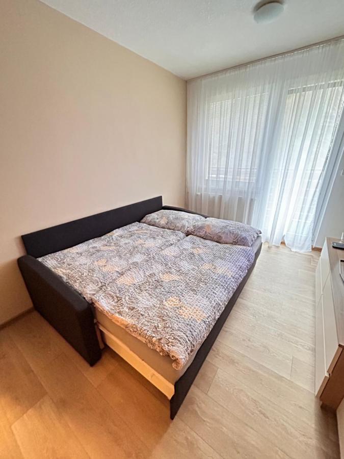 Apartman Na Kraji Lesa Všemina المظهر الخارجي الصورة